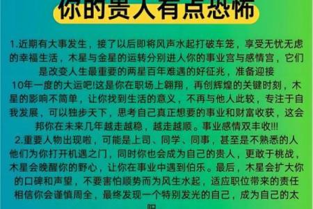 本命年兔男如何稳步提升自我价值