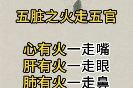 火命在五行中的地位与影响