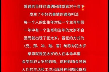 属鸡人本命年如何打破旧有的思维定势？
