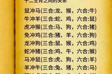 解密水虎命：五行水与虎的相生相克