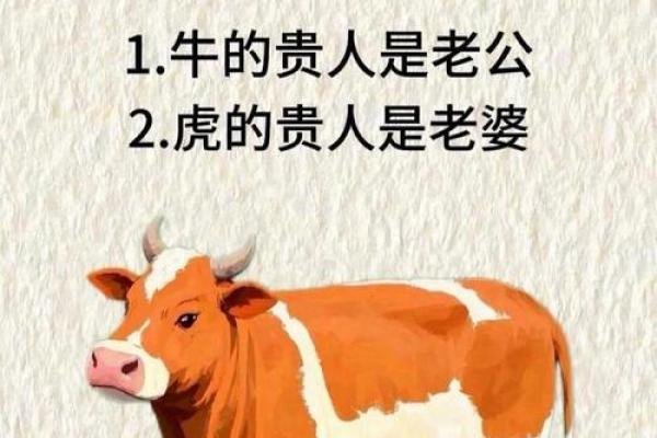 探索牛与其他生肖的缘分,揭示最佳配对 探索牛与其他生肖的缘分,揭示最佳配对