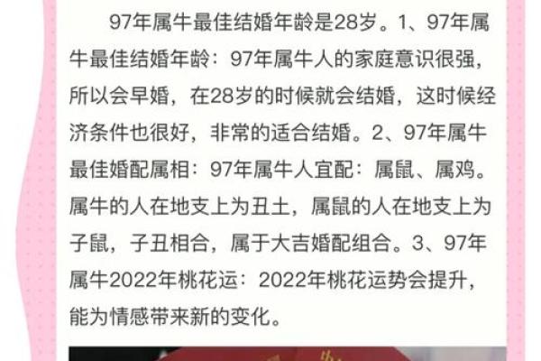 属牛男女情感契合度探讨