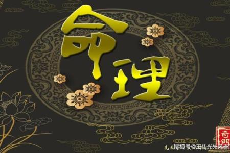揭示富命子背后真正的命运秘密