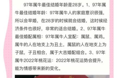 属牛男女情感契合度探讨