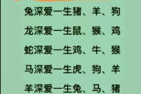 生肖兔和猪的友情是否长久？解析二者关系
