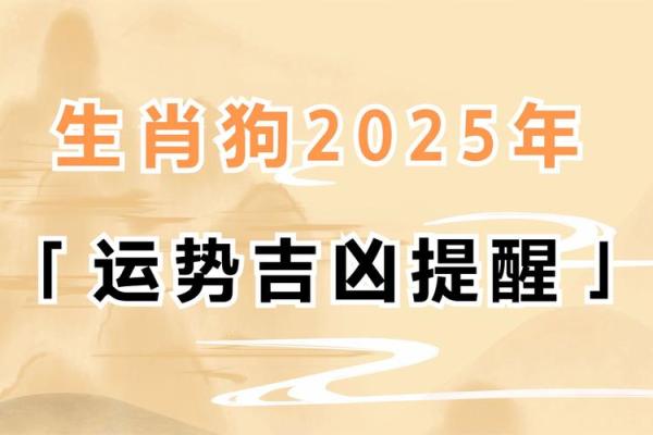 今年是狗年，属狗的人运势如何解析