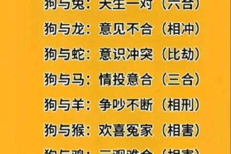 属羊与属猪的性格互补 适合成为情侣吗