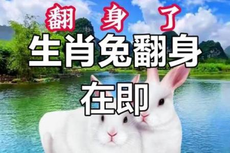兔男和马女的爱情运势究竟如何