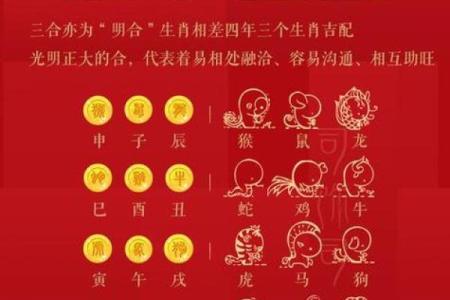 羊和猴配对是否和谐？了解两者的性格特点与匹配指数