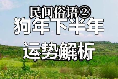 今年是狗年，属狗的人运势如何解析