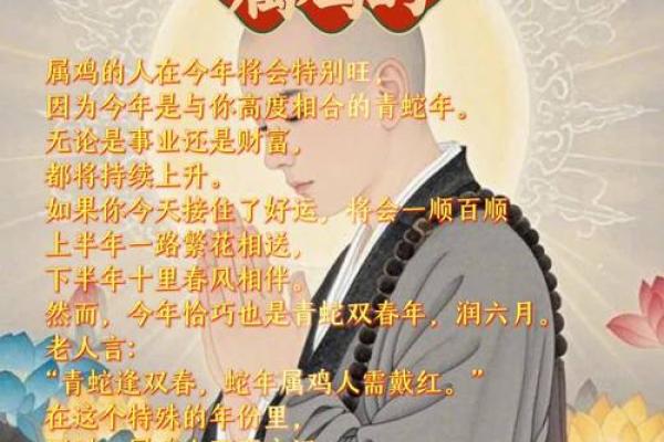 鸡是什么命人？探索与命运相关的传统文化解读