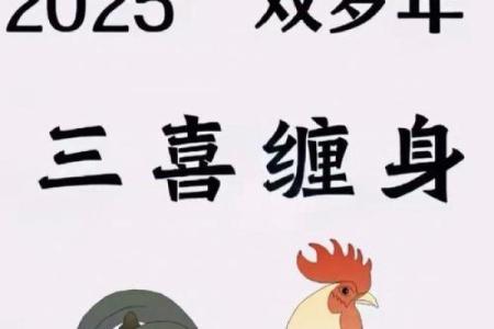 鸡是什么命人？探索与命运相关的传统文化解读