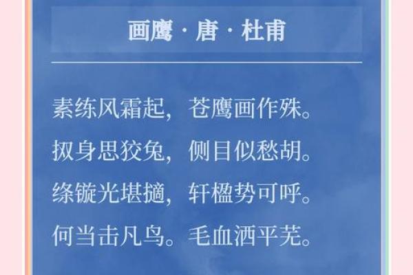 追溯鹰的名字背后的文化意义 追溯鹰的名字背后的文化意义