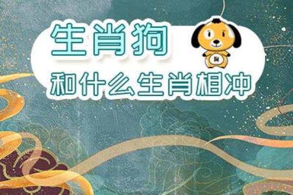 生肖狗与猪的配对分析：合适还是挑战？