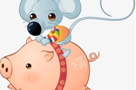 探讨属鼠女与属猪男的最佳关系模式