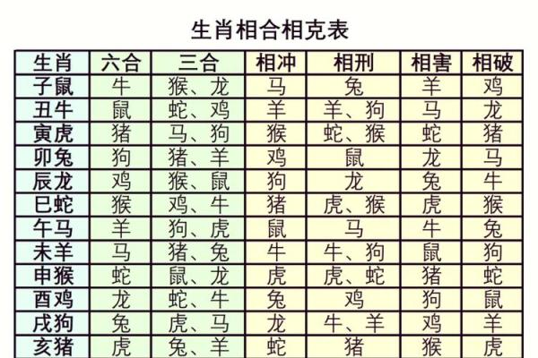 生肖龙与哪些生肖最相配 探秘最佳配对组合