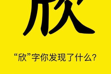 如何为宝宝挑选一个寓意深远的欣字名字