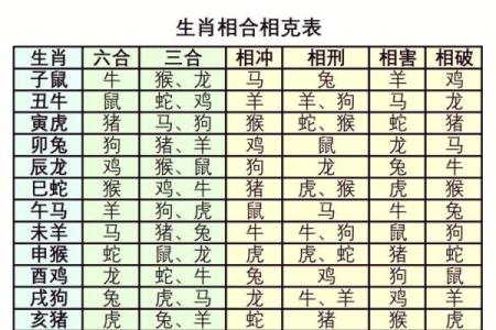 生肖龙与哪些生肖最相配 探秘最佳配对组合