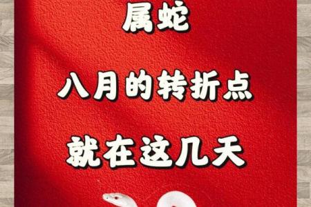 本命年蛇女如何让自己变得更强大