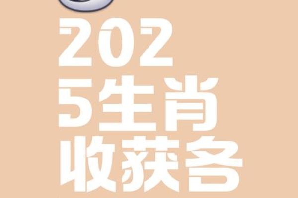本命年兔男如何提升自我管理能力
