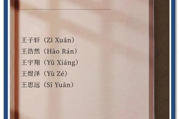 为王姓男孩挑选一个独特的名字