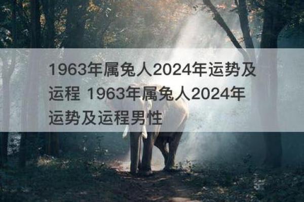 兔与羊的缘分如何解读