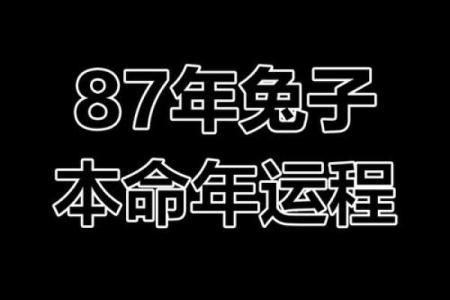 本命年兔男如何提升自我管理能力