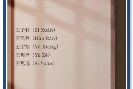 为王姓男孩挑选一个独特的名字