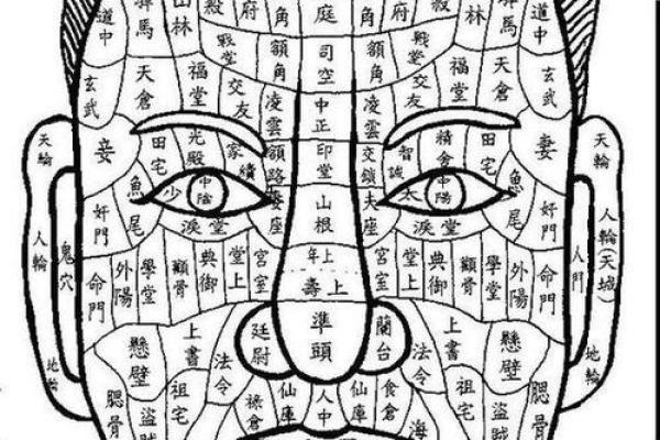 生辰八字合不合，决定你和TA未来的命运走向吗？