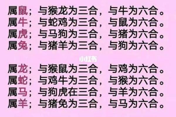属兔与属虎的配对是否和谐？揭秘两者性格契合度