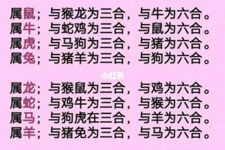 属兔与属虎的配对是否和谐？揭秘两者性格契合度