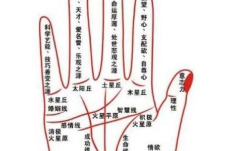 揭秘富贵命的八大特征，看你是否具备
