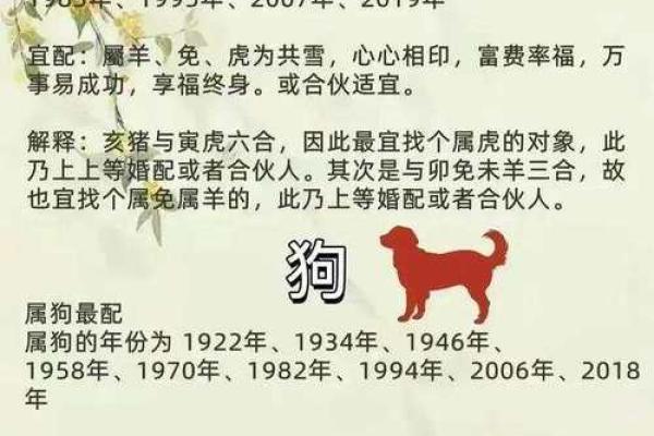 生肖配对解析 猪女与虎男的婚姻幸福指数