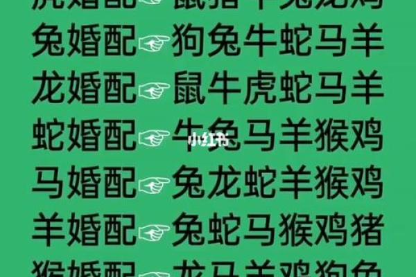 生肖配对解析 猪女与虎男的婚姻幸福指数