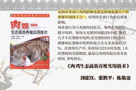 从养殖角度看鸡和猪是否是理想的搭配