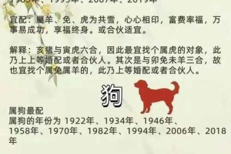 生肖配对解析 猪女与虎男的婚姻幸福指数
