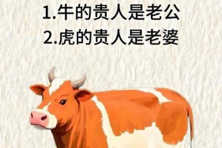 属鸡与属牛的性格互补吗