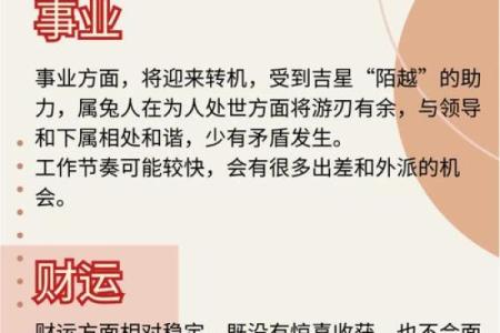 属兔人本命年如何处理家庭中的突发事件