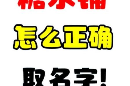 糖水名字的巧妙命名技巧