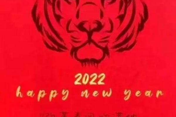 本命年虎男如何面对生活的考验