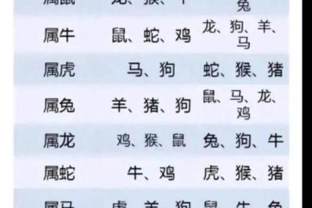 属鸡本命年如何运用风水摆设？