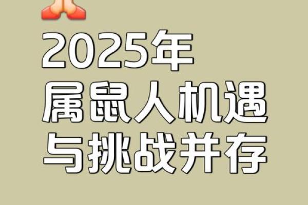 鼠男本命年有何事业上的突破