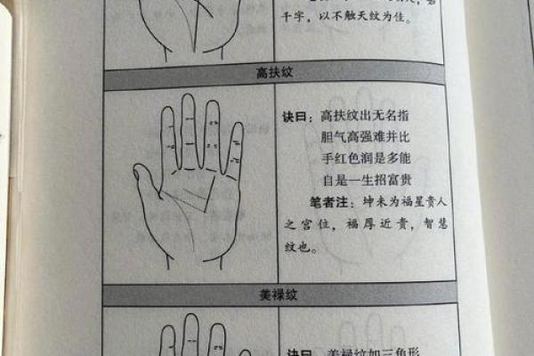 解密二夫命:看手相如何揭示你的婚姻运势 解密二夫命:看手相如何揭示你的婚姻运势