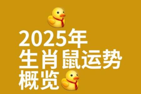 鼠男本命年有何事业上的突破