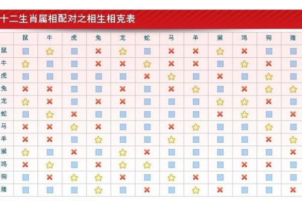 猪兔是否相配？揭秘生肖配对的真相与秘密