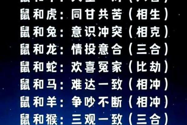 猪兔是否相配？揭秘生肖配对的真相与秘密