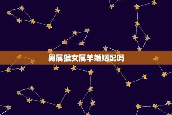 属猴男和属羊女的婚姻配对分析