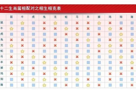 猪兔是否相配？揭秘生肖配对的真相与秘密