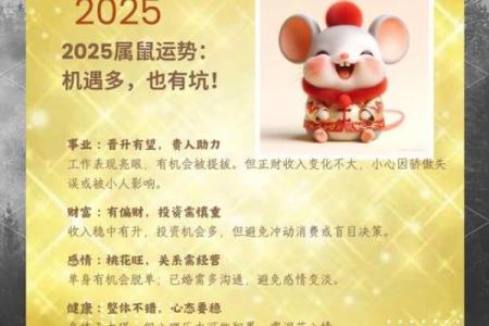 属鼠人在本命年如何加强健康运