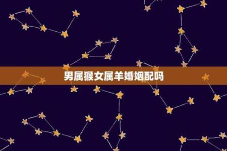 属猴男和属羊女的婚姻配对分析